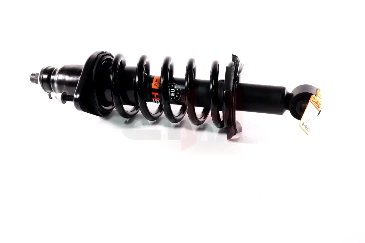 Federbein Hinterachse rechts links Hinterachse rechts Hinterachse links GH GH-332681C01