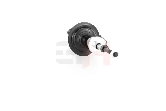 Stoßdämpfer Hinterachse Hinterachse rechts Hinterachse links GH GH-333081 Bild Stoßdämpfer Hinterachse Hinterachse rechts Hinterachse links GH GH-333081