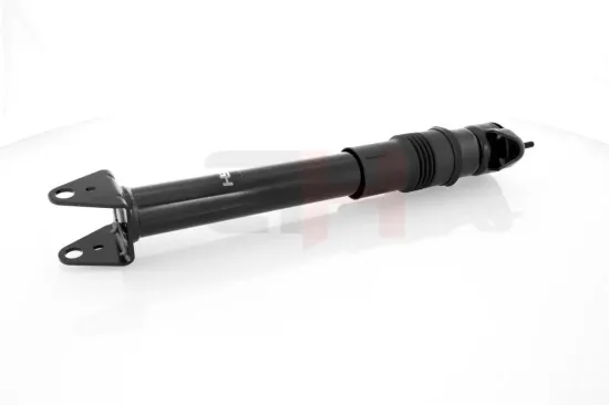 Stoßdämpfer Hinterachse Hinterachse rechts Hinterachse links GH GH-333389 Bild Stoßdämpfer Hinterachse Hinterachse rechts Hinterachse links GH GH-333389