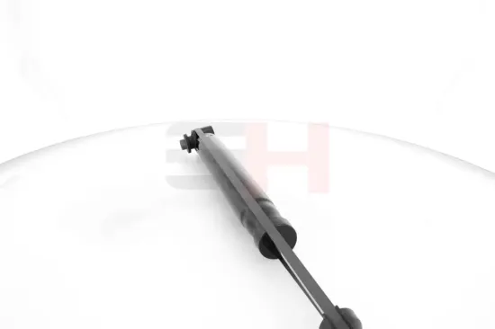 Stoßdämpfer Hinterachse Hinterachse rechts Hinterachse links GH GH-334780 Bild Stoßdämpfer Hinterachse Hinterachse rechts Hinterachse links GH GH-334780