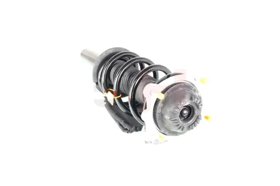 Federbein Vorderachse rechts links Vorderachse rechts Vorderachse links GH GH-344706C03 Bild Federbein Vorderachse rechts links Vorderachse rechts Vorderachse links GH GH-344706C03