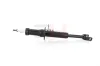 Stoßdämpfer Vorderachse Vorderachse links GH GH-351519V Bild Stoßdämpfer Vorderachse Vorderachse links GH GH-351519V