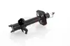Stoßdämpfer Hinterachse Hinterachse links GH GH-352200V Bild Stoßdämpfer Hinterachse Hinterachse links GH GH-352200V