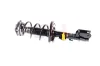 Federbein Vorderachse rechts links Vorderachse rechts Vorderachse links GH GH-352206C02