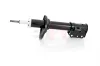 Stoßdämpfer Hinterachse Hinterachse links GH GH-353281V