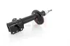 Stoßdämpfer Hinterachse Hinterachse links GH GH-353281V Bild Stoßdämpfer Hinterachse Hinterachse links GH GH-353281V