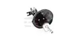 Stoßdämpfer Hinterachse Hinterachse rechts GH GH-353406H Bild Stoßdämpfer Hinterachse Hinterachse rechts GH GH-353406H