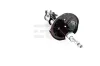 Stoßdämpfer Hinterachse Hinterachse links GH GH-353406V Bild Stoßdämpfer Hinterachse Hinterachse links GH GH-353406V