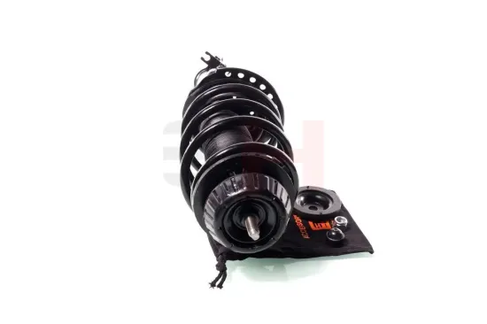 Federbein Vorderachse rechts links Vorderachse rechts Vorderachse links GH GH-353422C01 Bild Federbein Vorderachse rechts links Vorderachse rechts Vorderachse links GH GH-353422C01