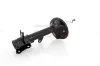Stoßdämpfer Hinterachse Hinterachse rechts GH GH-353449H Bild Stoßdämpfer Hinterachse Hinterachse rechts GH GH-353449H