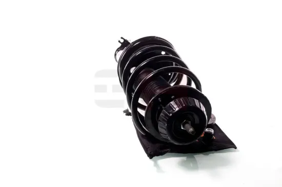 Federbein Vorderachse rechts links Vorderachse rechts Vorderachse links GH GH-353452C03 Bild Federbein Vorderachse rechts links Vorderachse rechts Vorderachse links GH GH-353452C03