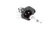 Stoßdämpfer Vorderachse Vorderachse links GH GH-353532V Bild Stoßdämpfer Vorderachse Vorderachse links GH GH-353532V