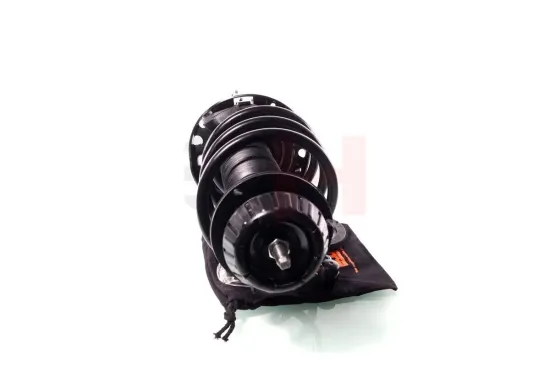 Federbein Vorderachse rechts links Vorderachse rechts Vorderachse links GH GH-353590C01 Bild Federbein Vorderachse rechts links Vorderachse rechts Vorderachse links GH GH-353590C01