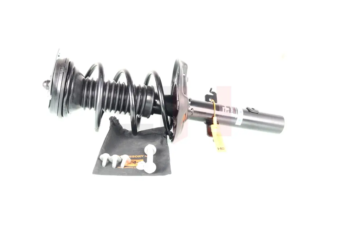 Federbein Vorderachse rechts links Vorderachse rechts Vorderachse links GH GH-353973C01