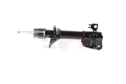 Stoßdämpfer Hinterachse Hinterachse links GH GH-354010V