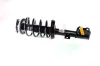 Federbein Vorderachse rechts links Vorderachse rechts Vorderachse links GH GH-354195C02
