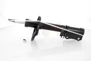 Stoßdämpfer Hinterachse Hinterachse rechts GH GH-354567H