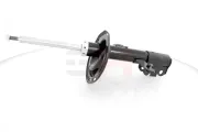 Stoßdämpfer Vorderachse Vorderachse rechts GH GH-354568H