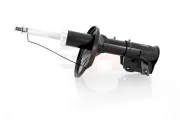 Stoßdämpfer Vorderachse Vorderachse rechts GH GH-354866H
