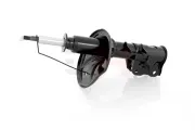 Stoßdämpfer Vorderachse Vorderachse links GH GH-354866V