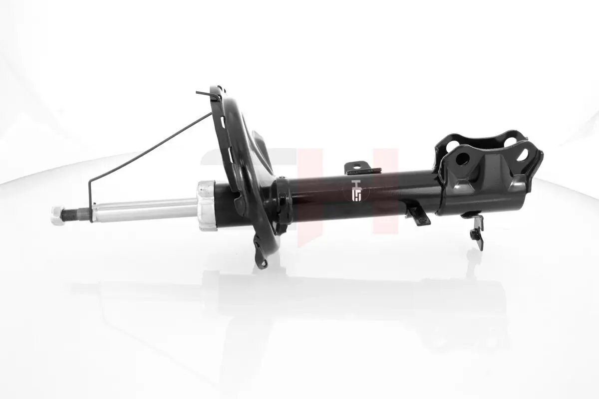 Stoßdämpfer Hinterachse Hinterachse links GH GH-356301V