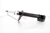 Stoßdämpfer Hinterachse Hinterachse links GH GH-359367V Bild Stoßdämpfer Hinterachse Hinterachse links GH GH-359367V