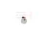 Mutter, Achszapfen Vorderachse GH GH-391912 Bild Mutter, Achszapfen Vorderachse GH GH-391912