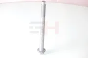 Schraube, Querlenker vor der Achse Vorderachse GH GH-392562