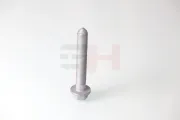 Schraube, Querlenker GH GH-393705