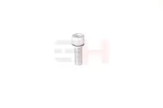 Verschlussschraube, Achsgetriebe GH GH-399902