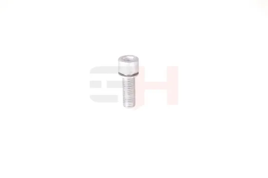 Verschlussschraube, Achsgetriebe GH GH-399902 Bild Verschlussschraube, Achsgetriebe GH GH-399902