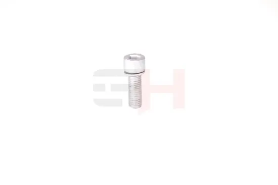 Verschlussschraube, Achsgetriebe GH GH-399902 Bild Verschlussschraube, Achsgetriebe GH GH-399902
