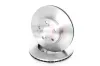 Bremsscheibe Vorderachse Vorderachse rechts Vorderachse links GH GH-404508 Bild Bremsscheibe Vorderachse Vorderachse rechts Vorderachse links GH GH-404508