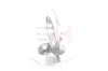 Bremsscheibe Hinterachse Hinterachse rechts Hinterachse links GH GH-424780 Bild Bremsscheibe Hinterachse Hinterachse rechts Hinterachse links GH GH-424780