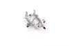 Bremssattel Hinterachse Hinterachse rechts GH GH-456301H Bild Bremssattel Hinterachse Hinterachse rechts GH GH-456301H