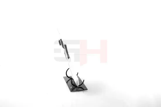 Spritzblech, Bremsscheibe Vorderachse Vorderachse rechts GH GH-481560H Bild Spritzblech, Bremsscheibe Vorderachse Vorderachse rechts GH GH-481560H