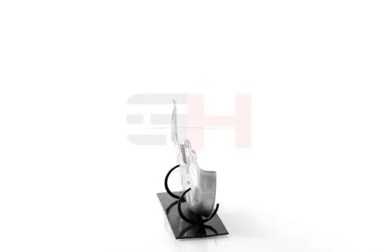 Spritzblech, Bremsscheibe Vorderachse Vorderachse rechts GH GH-489951H Bild Spritzblech, Bremsscheibe Vorderachse Vorderachse rechts GH GH-489951H