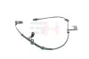 Sensor, Raddrehzahl Vorderachse Vorderachse rechts GH GH-703419H Bild Sensor, Raddrehzahl Vorderachse Vorderachse rechts GH GH-703419H