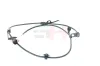 Sensor, Raddrehzahl Vorderachse Vorderachse rechts GH GH-704555H Bild Sensor, Raddrehzahl Vorderachse Vorderachse rechts GH GH-704555H