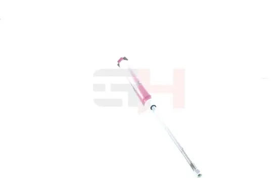 Stoßdämpfer Hinterachse Hinterachse rechts Hinterachse links GH GH+332651 Bild Stoßdämpfer Hinterachse Hinterachse rechts Hinterachse links GH GH+332651