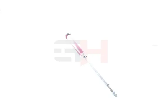 Stoßdämpfer Hinterachse Hinterachse rechts Hinterachse links GH GH+333997 Bild Stoßdämpfer Hinterachse Hinterachse rechts Hinterachse links GH GH+333997