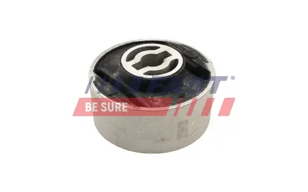 Lagerung, Lenker Hinterachse links Hinterachse rechts FAST FT00001