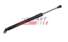 Gasfeder, Koffer-/Laderaum Kofferraumdeckel FAST FT00183 Bild Gasfeder, Koffer-/Laderaum Kofferraumdeckel FAST FT00183