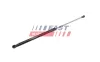 Gasfeder, Koffer-/Laderaum Kofferraumdeckel FAST FT00194 Bild Gasfeder, Koffer-/Laderaum Kofferraumdeckel FAST FT00194