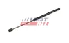 Gasfeder, Koffer-/Laderaum Kofferraumdeckel FAST FT00203 Bild Gasfeder, Koffer-/Laderaum Kofferraumdeckel FAST FT00203