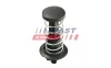 Gasfeder, Motorhaube Motorhaube FAST FT00220