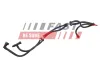 Kraftstoffleitung FAST FT00259 Bild Kraftstoffleitung FAST FT00259