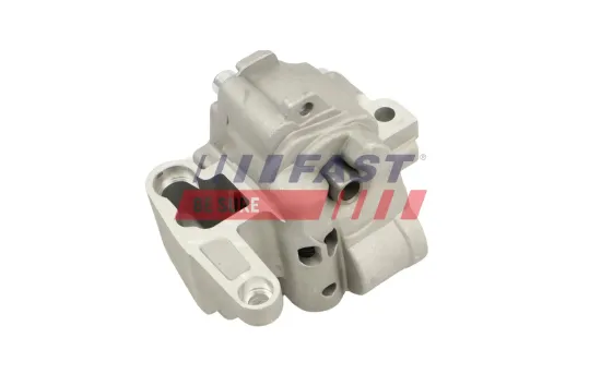 Ölpumpe FAST FT00719 Bild Ölpumpe FAST FT00719