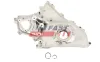 Ölpumpe FAST FT00722 Bild Ölpumpe FAST FT00722
