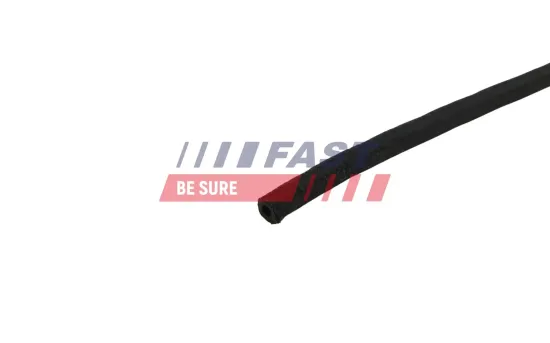 Schlauch, Leckkraftstoff FAST FT00990 Bild Schlauch, Leckkraftstoff FAST FT00990
